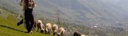 Забуті народи Європи. Гуцули (відео)