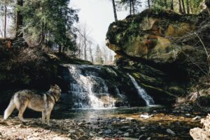 Водоспад Терношорський Гук. Фото: Наталія Юрова