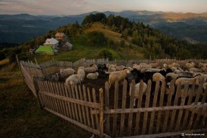 ...із Василевої кошари минаючи його хати до вершин сонця... Фото: Марко Луканюк